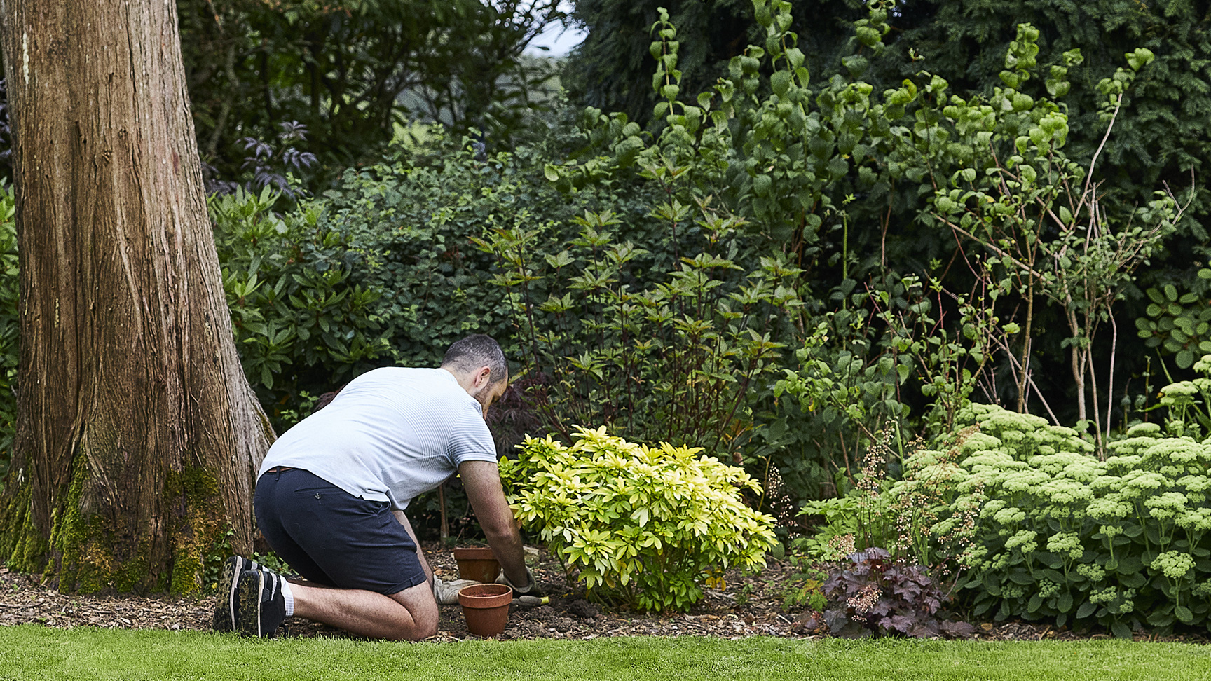 Un homme en train de planter