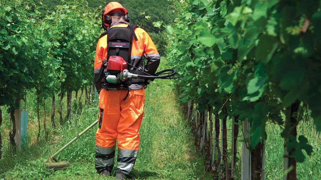 Débroussailleuse sac à dos Honda, utilisée par un démonstrateur, sur un terrain vert.