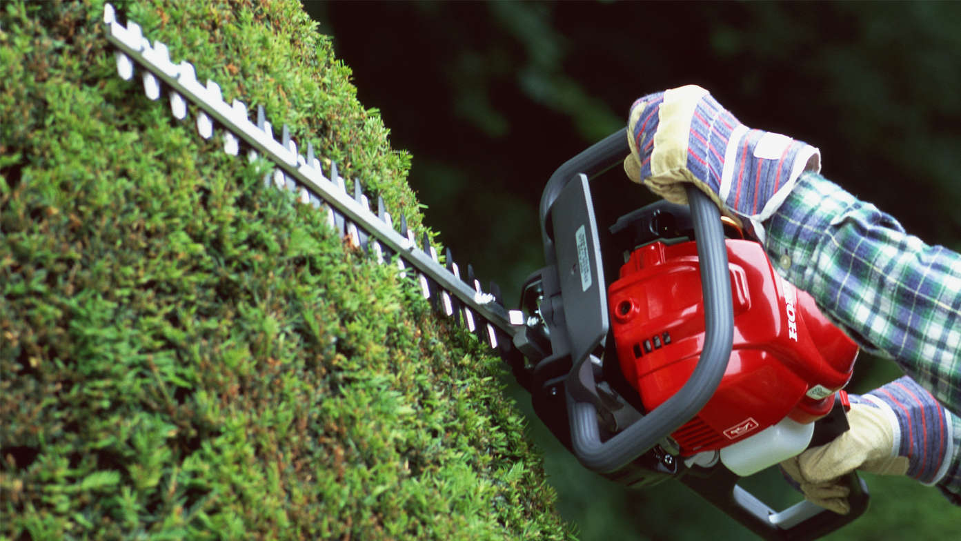 Taille-haies Honda, gros plan de son utilisation dans un jardin.