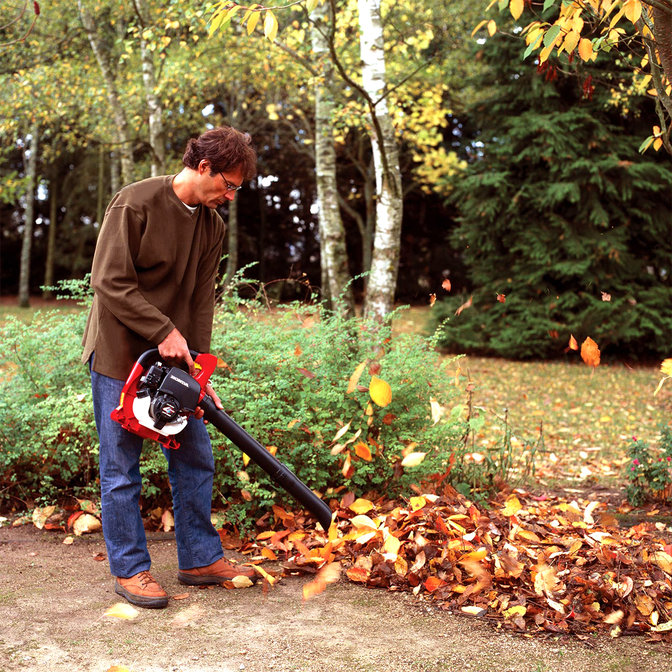 Souffleur de feuilles, utilisé par un démonstrateur, dans un jardin.