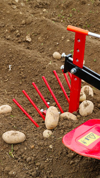 Gros plan de l'arracheuse de pommes de terre, dans un jardin.