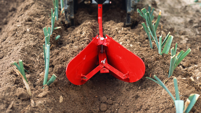 Gros plan du butteur dans un jardin.