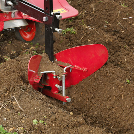 Gros plan du butteur dans un jardin.