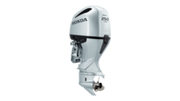 BF250 A DXU
