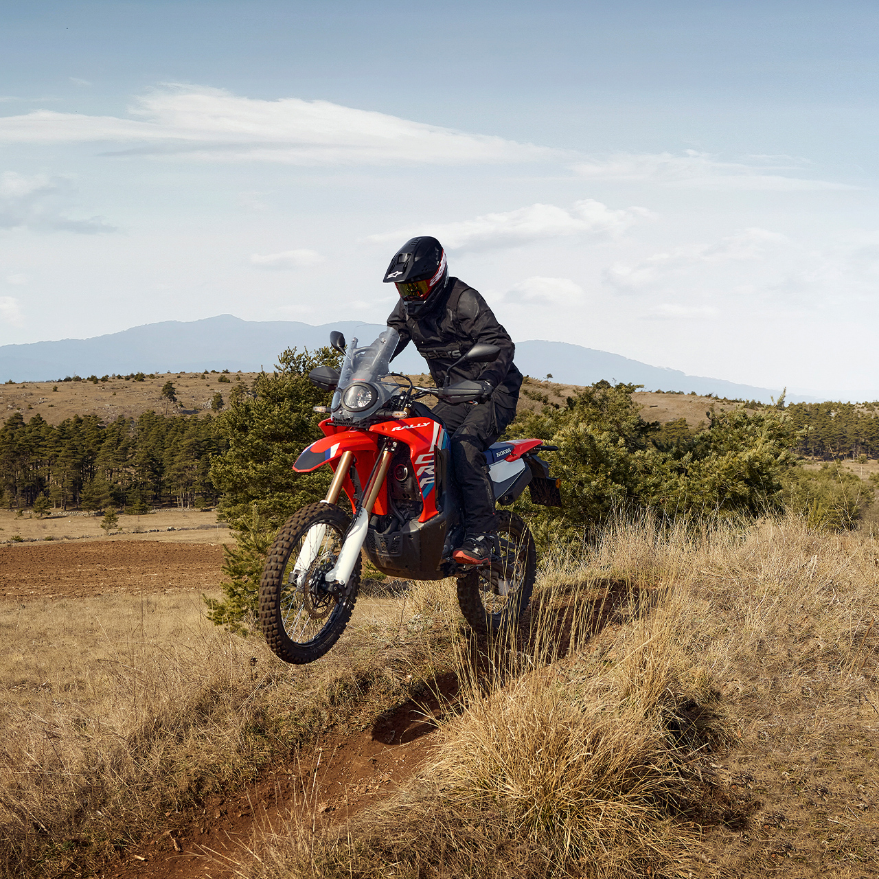 Honda CRF300L et CRF300 Rally.