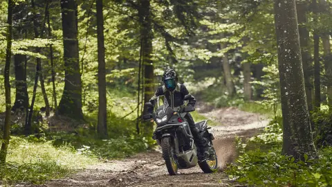 Personnage conduisant la moto XL750 Transalp en forêt.