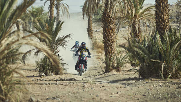 Motards d’Africa Twin, traversant des oasis.