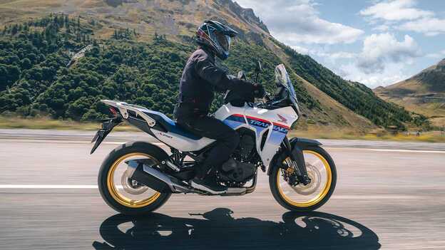 Protections pour colonne vertébrale