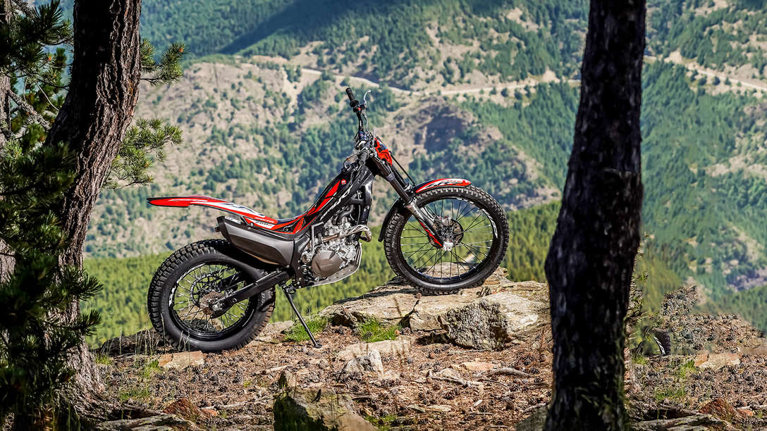 Vue latérale de la Honda Montesa Cota 4RT 260R en forêt.