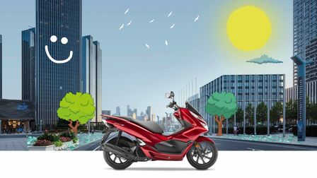 PCX Honda Easy Cover