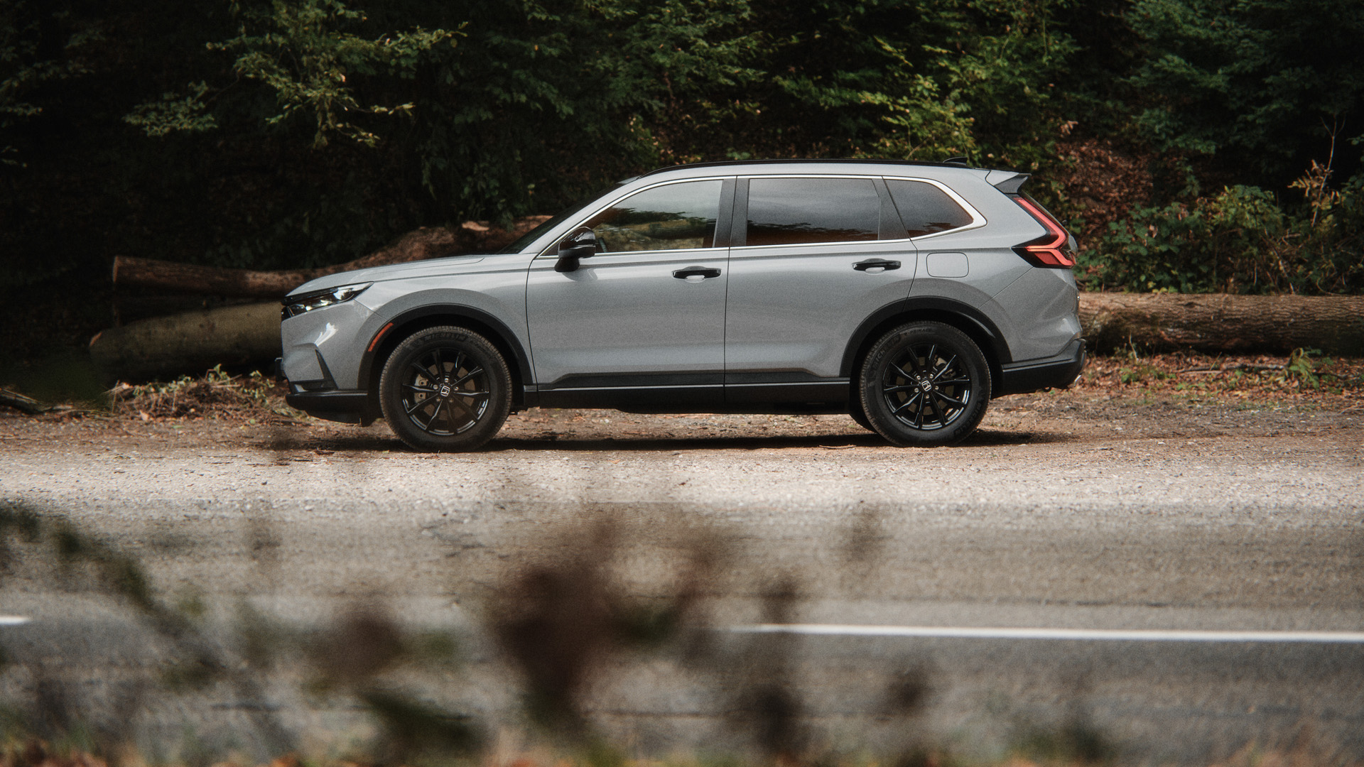 Un CR-V gris vue de profil arrêté au bord de la route à la lisière d'une forêt
