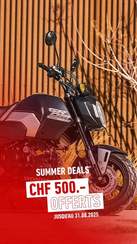 Les pilotes du MSX125 Grom roulent ensemble
