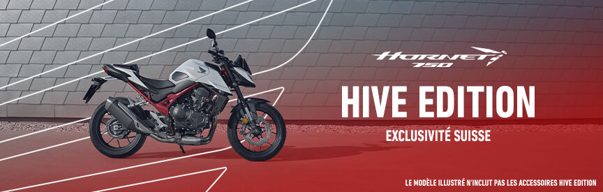 Hornet 750 special Hive edition